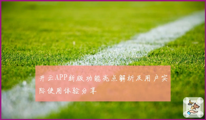 开云APP新版功能亮点解析及用户实际使用体验分享